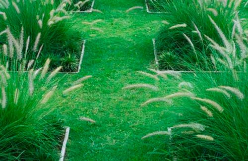 Садовые дорожки из травы или камней